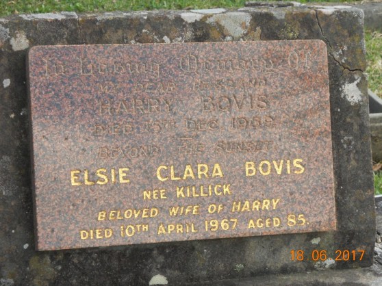 This image has an empty alt attribute; its file name is hs-bovis.jpg