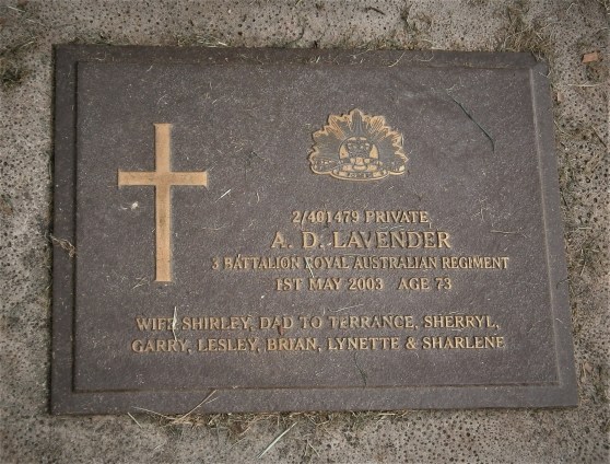 This image has an empty alt attribute; its file name is hs-lavender-albert-d.jpeg