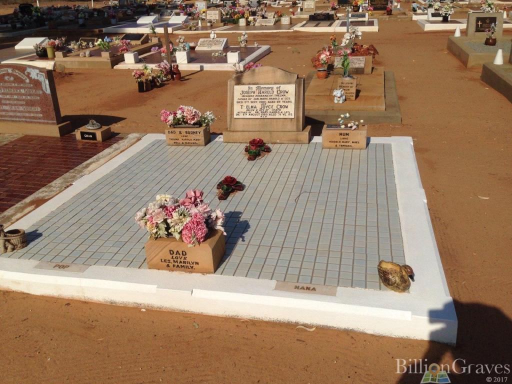 This image has an empty alt attribute; its file name is plot-jh-crow.jpg