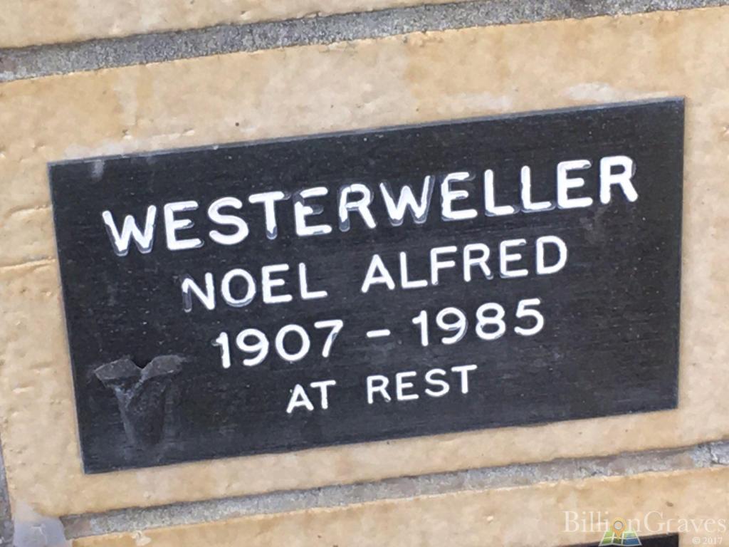 This image has an empty alt attribute; its file name is mp-noel.jpg