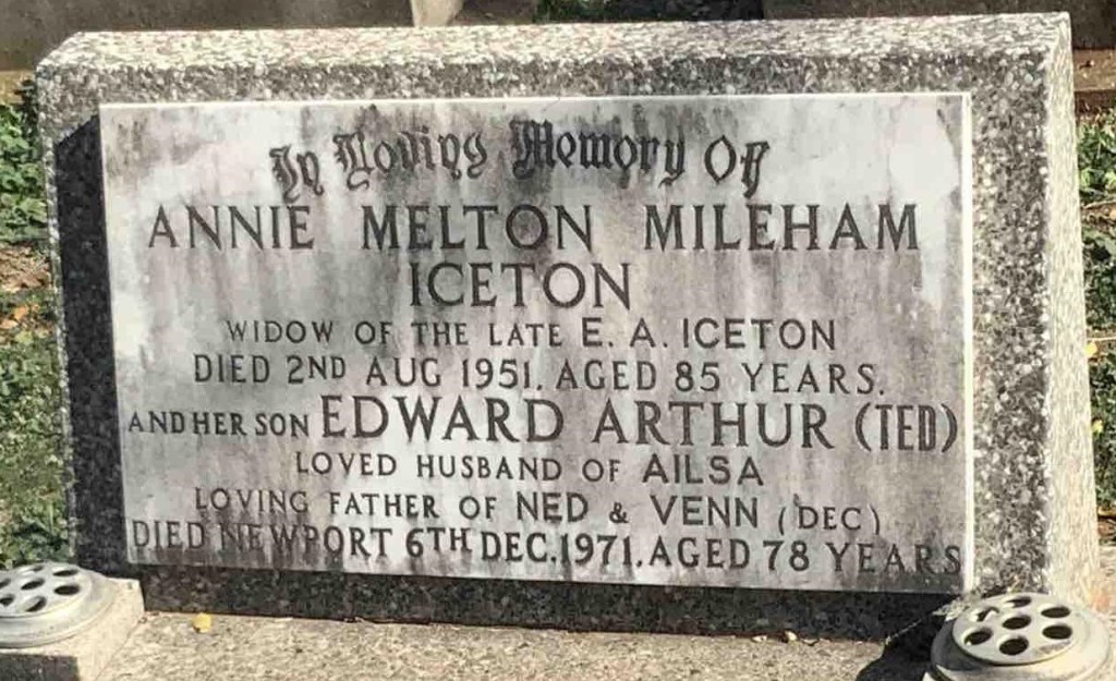 This image has an empty alt attribute; its file name is hs-ea-iceton.jpg