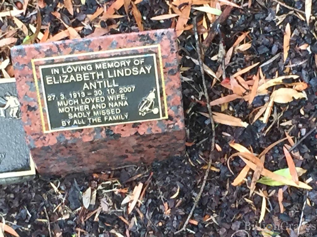 This image has an empty alt attribute; its file name is hs-el-antill.jpg